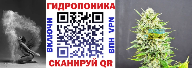 Виды наркоты Чита Кодеин  A-PVP  МЕФ  Псилоцибиновые грибы  Каннабис  мега как войти  MDMA  ГАШ 