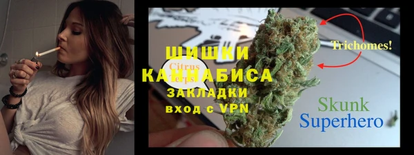 первитин Богородицк