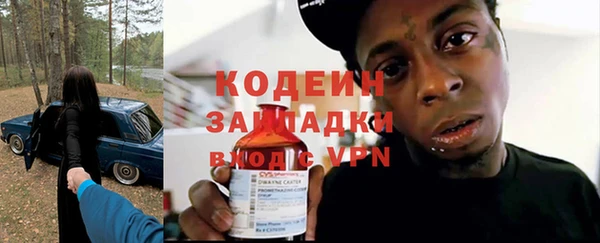 прущий лед Богданович