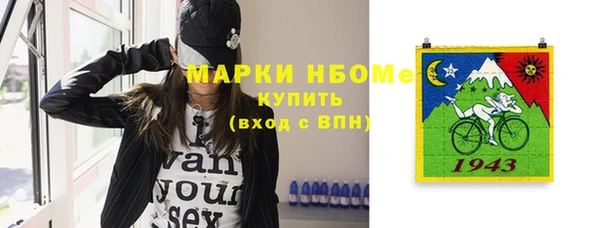 прущий лед Богданович
