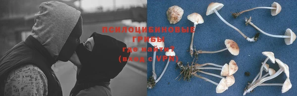 первитин Богородицк