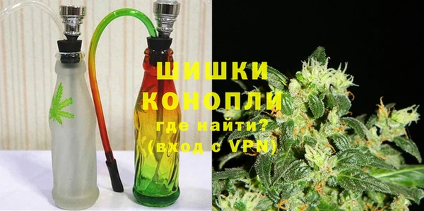прущий лед Богданович