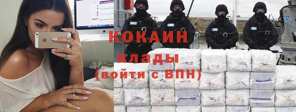 первитин Богородицк
