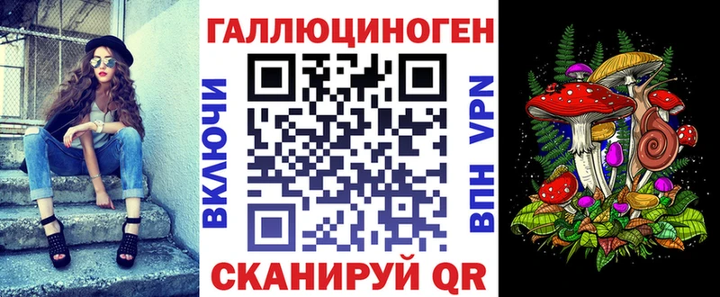 гидра ссылки  Чита  Псилоцибиновые грибы Psilocybine cubensis  купить  